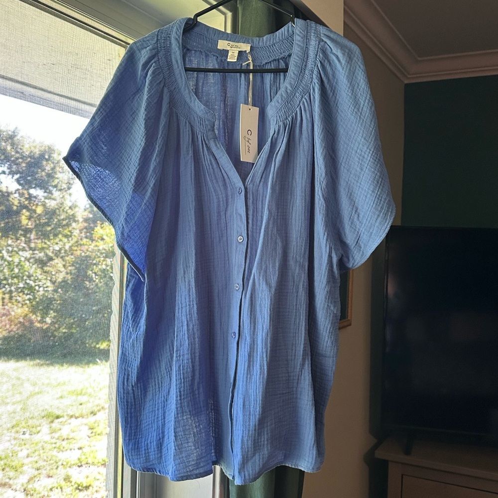Cato Women's Blue Button-Up Blouse